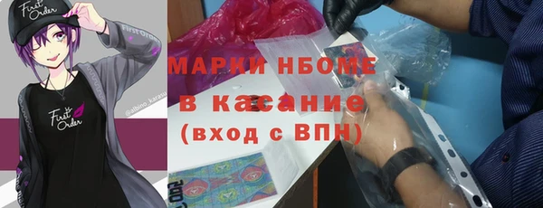 PSILOCYBIN Ельня