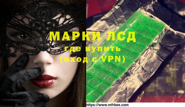 гидра Елабуга
