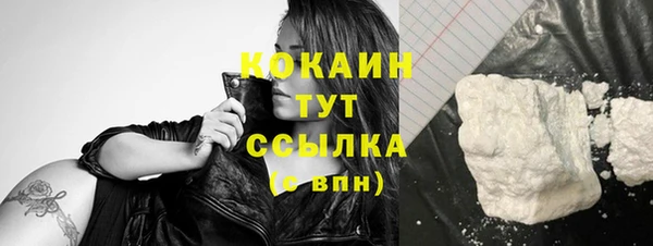 тгк Елизово