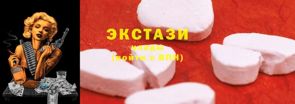 PSILOCYBIN Ельня