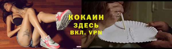 тгк Елизово