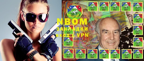 PSILOCYBIN Ельня
