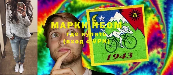 гидра Елабуга