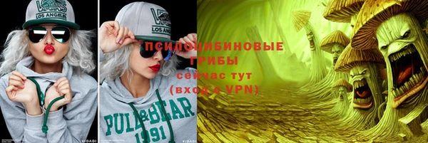 тгк Елизово