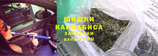 гидра Елабуга