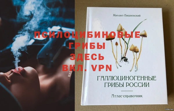 гидра Елабуга