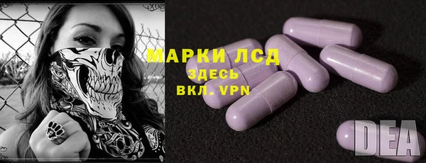 гидра Елабуга