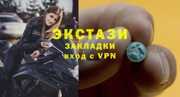 PSILOCYBIN Ельня