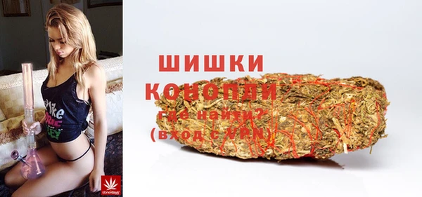 PSILOCYBIN Ельня