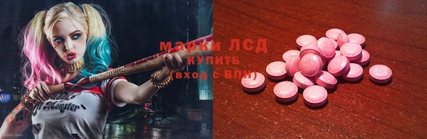 PSILOCYBIN Ельня