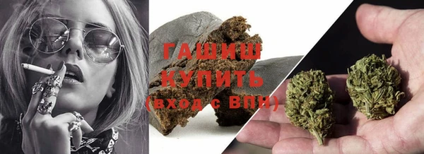 гидра Елабуга