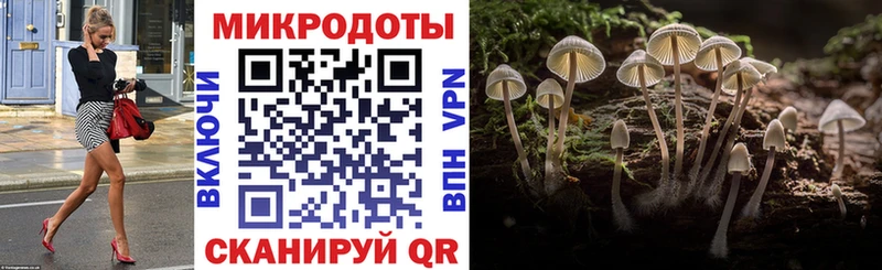 Галлюциногенные грибы Psilocybe  Купить где  Заинск 