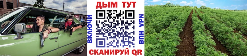 Бошки Шишки конопля  Купить закладки  Заинск 